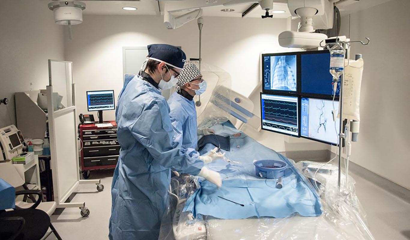 ALAVTN | Academy of Laboratory Animal Veterinary Technicians and Nurses